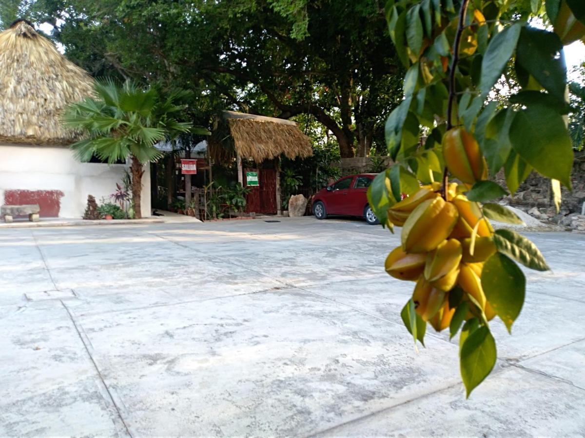 Posada El Jardin Ticul المظهر الخارجي الصورة