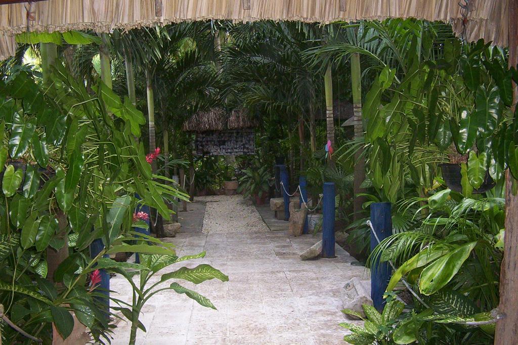 Posada El Jardin Ticul المظهر الخارجي الصورة