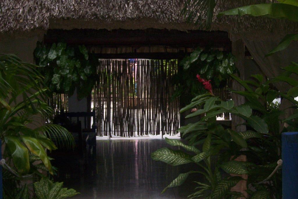 Posada El Jardin Ticul المظهر الخارجي الصورة