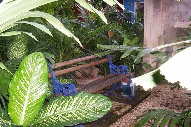 Posada El Jardin Ticul المظهر الخارجي الصورة