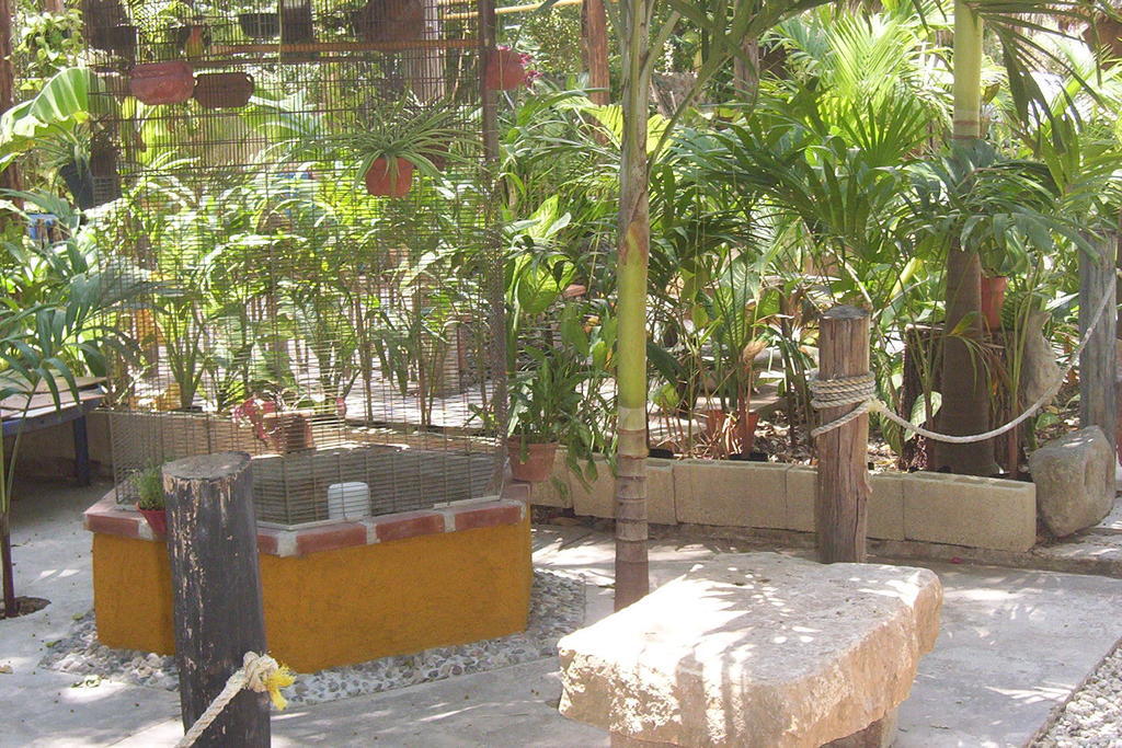 Posada El Jardin Ticul المظهر الخارجي الصورة