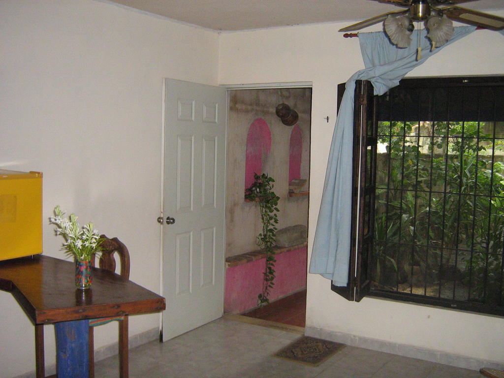 Posada El Jardin Ticul المظهر الخارجي الصورة