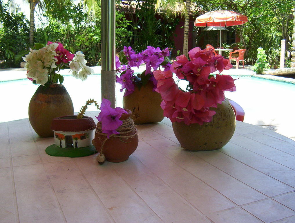 Posada El Jardin Ticul المظهر الخارجي الصورة