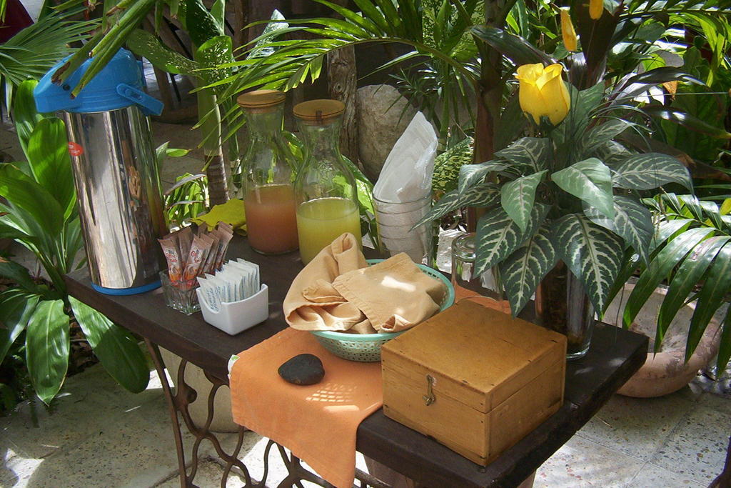 Posada El Jardin Ticul المظهر الخارجي الصورة