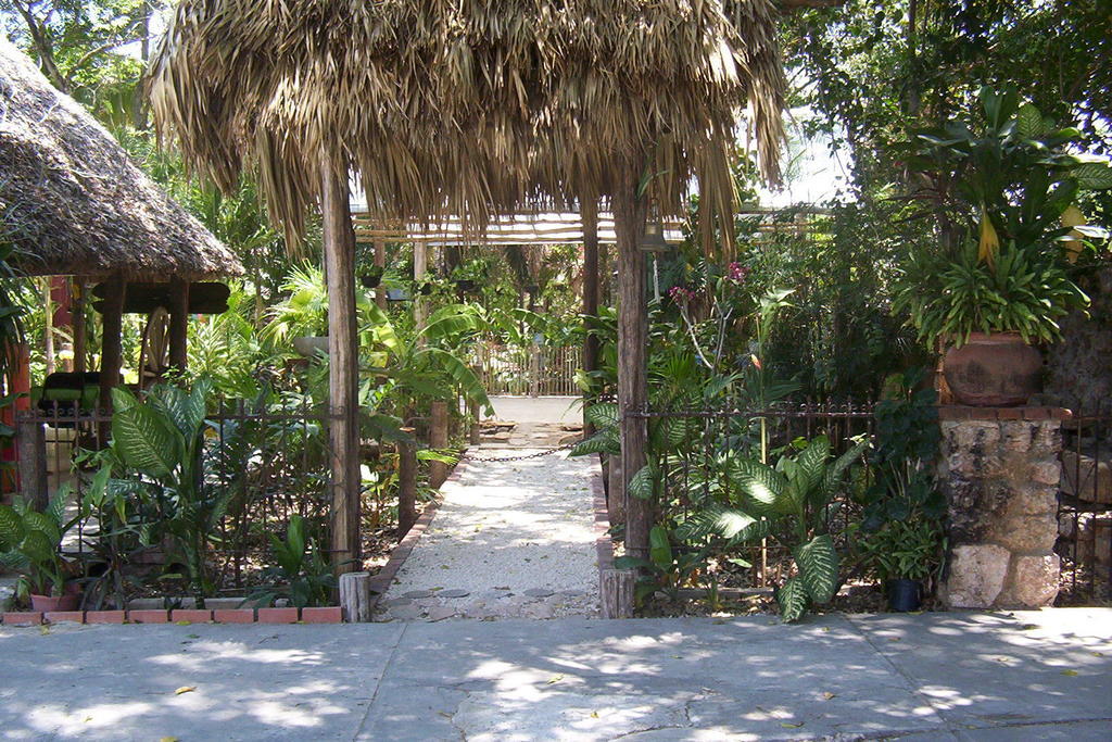 Posada El Jardin Ticul المظهر الخارجي الصورة